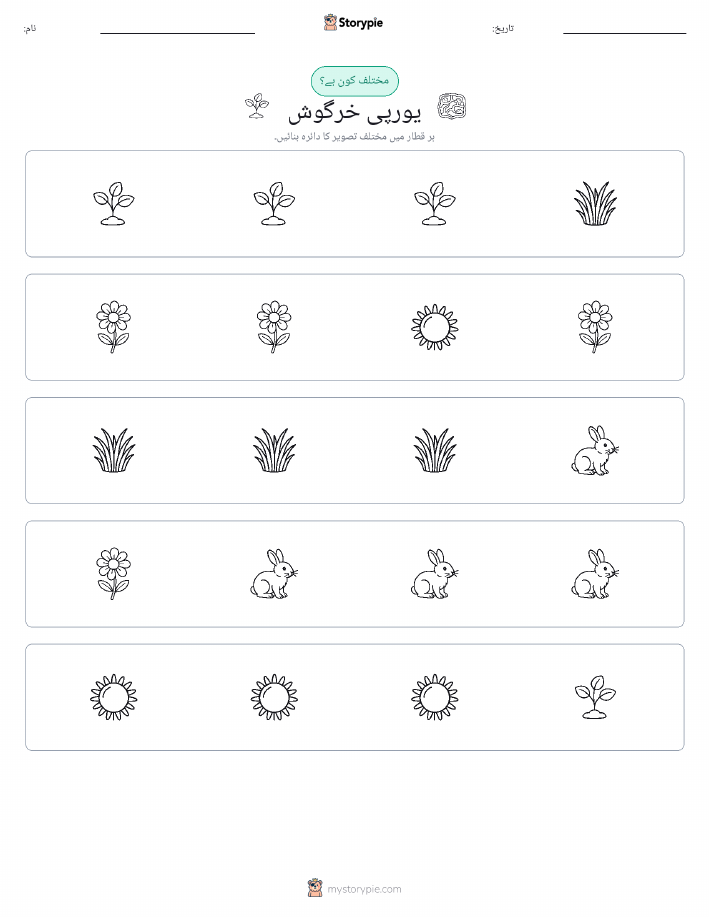 عجیب ایک