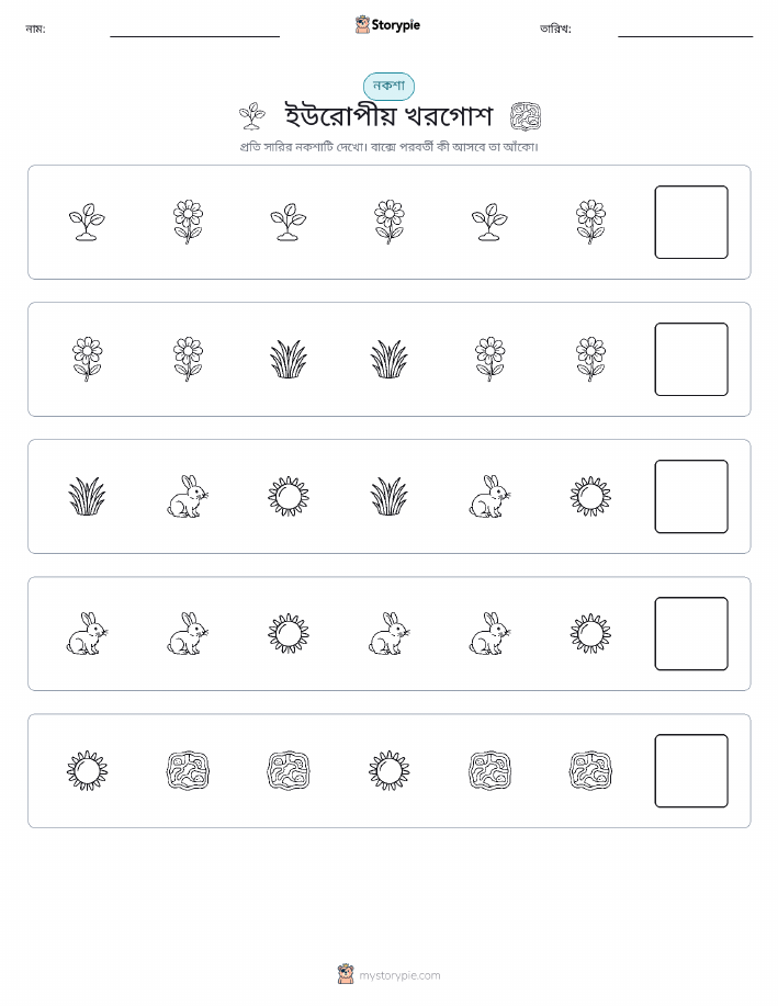 প্যাটার্ন