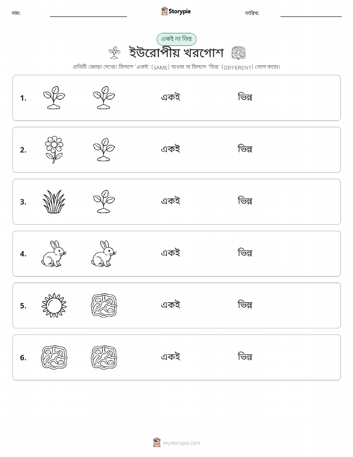একই বা ভিন্ন