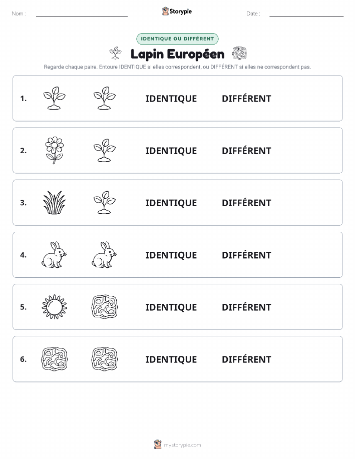 Identique ou Différent