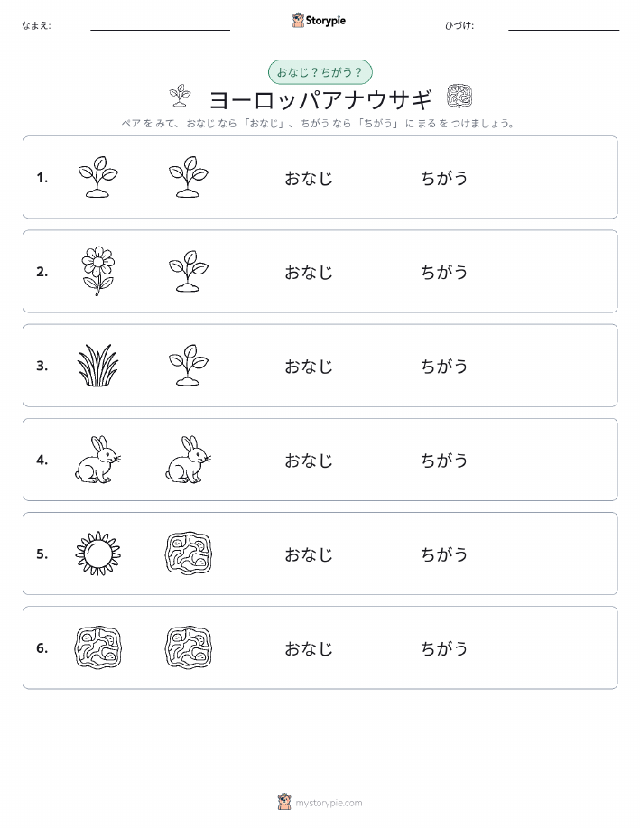 同じか違うか
