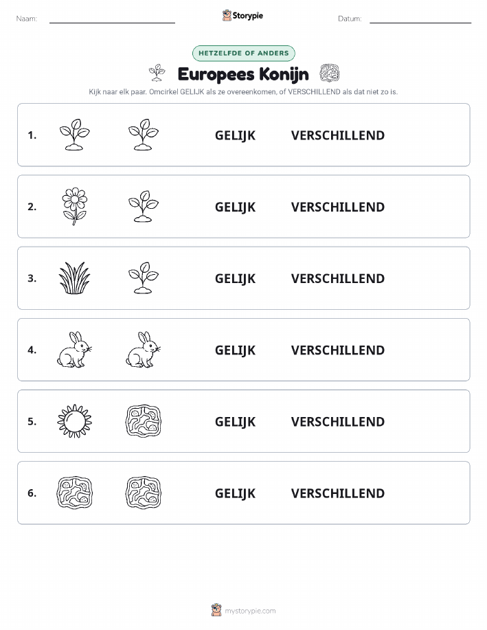 Zelfde of Verschillend