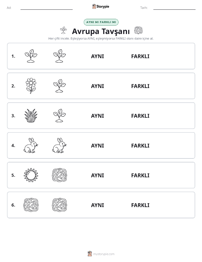 Aynı mı Farklı mı