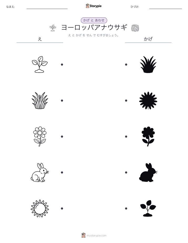 シャドウマッチ