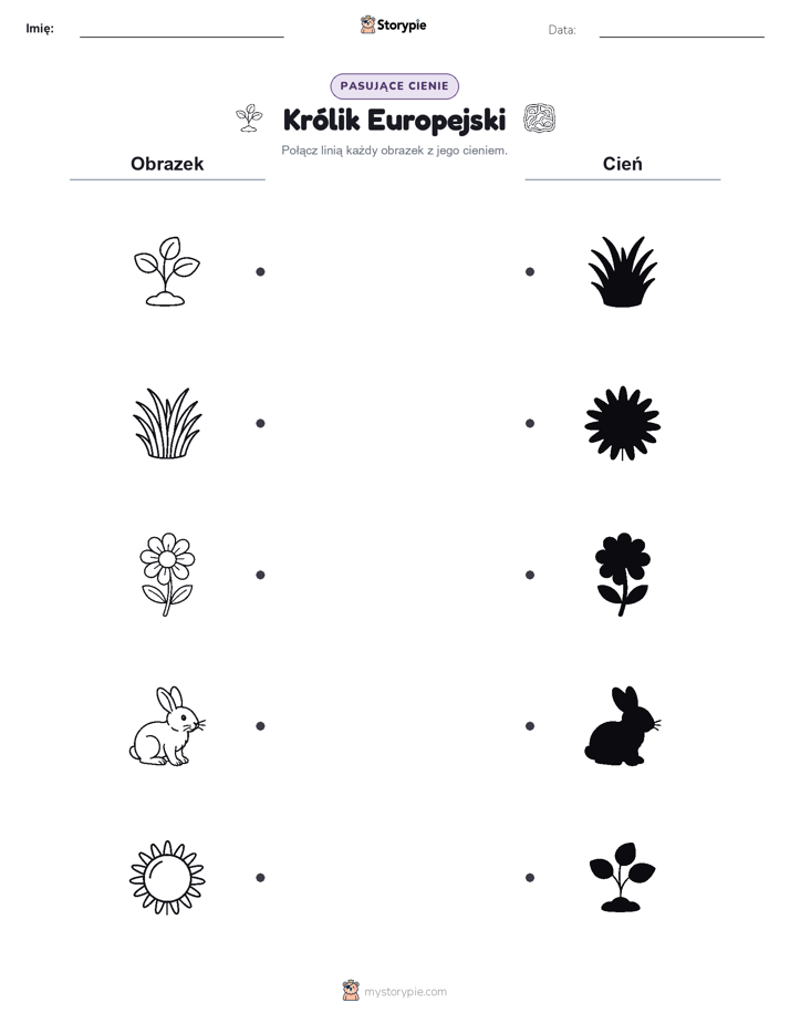 Dopasowanie cieni