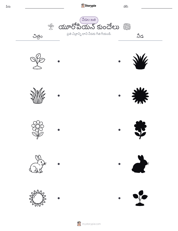 షాడో మ్యాచ్