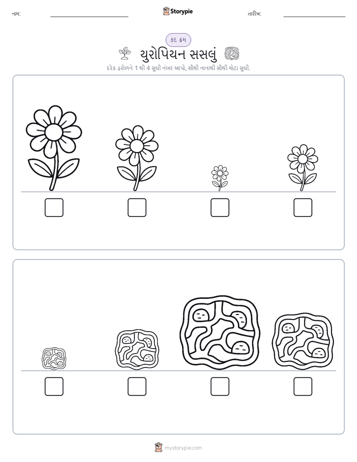 આકાર ક્રમ
