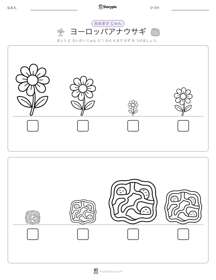 サイズ順