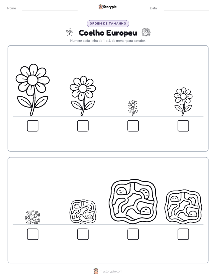 Ordem de Tamanho