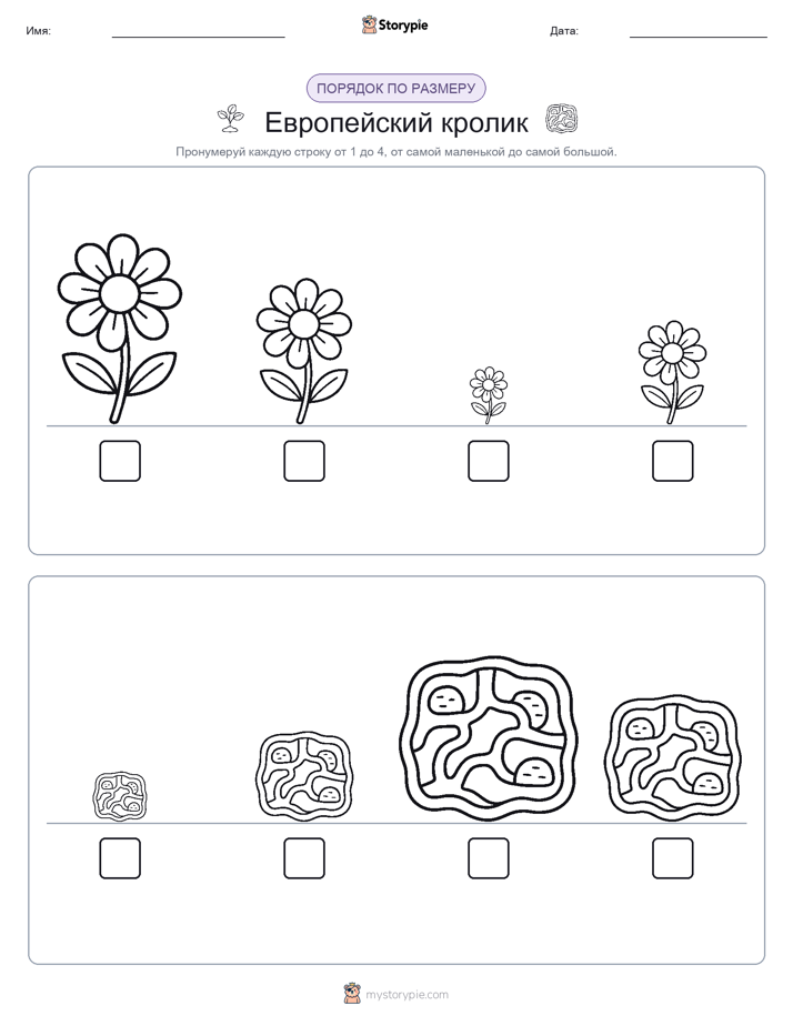 Размеры в порядке
