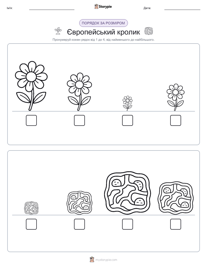 Порядок Розміру