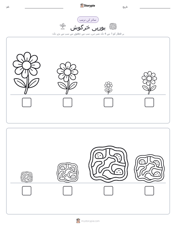 سائز کی ترتیب