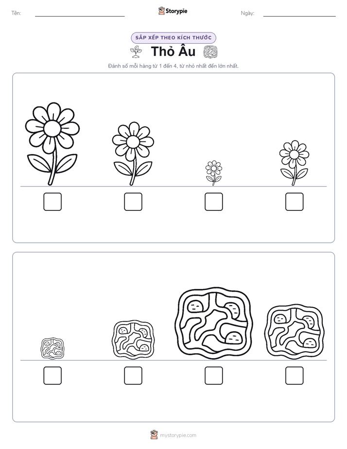 Thứ Tự Kích Thước