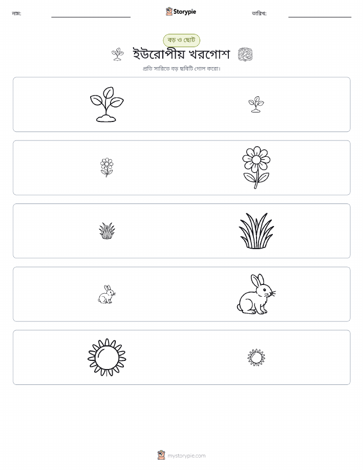 সাজানো