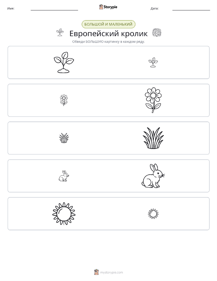 Сортировка