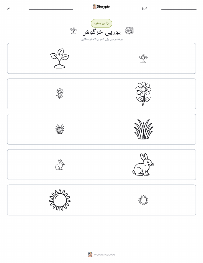 ترتیب دینا