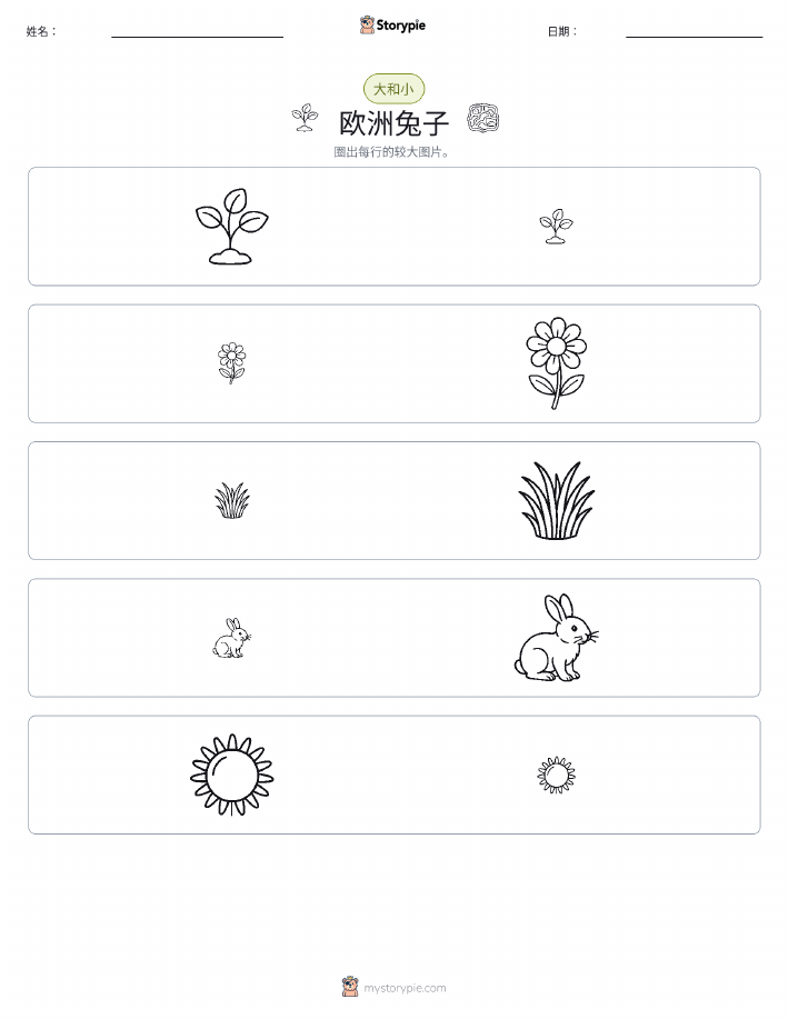 分类