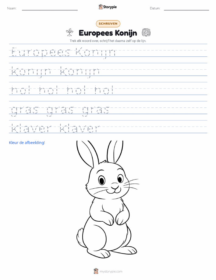 Schrijf Oefening