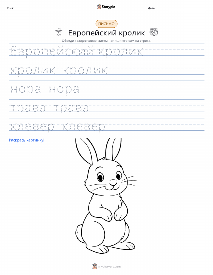 Практика письма