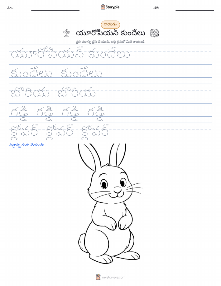 రాయడం సాధన