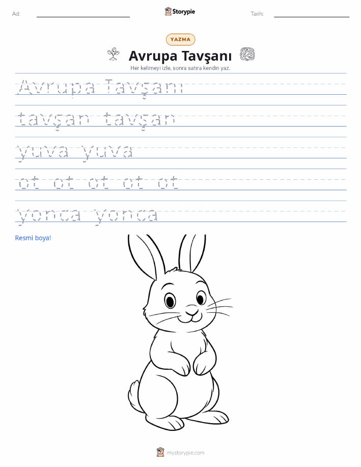 Yazma Pratiği
