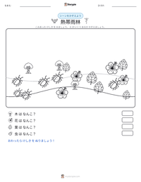 熱帯雨林 の印刷可能ワークシートプレビュー