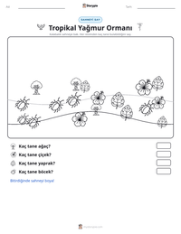 Tropikal Yağmur Ormanı yazdırılabilir çalışma sayfası önizlemesi