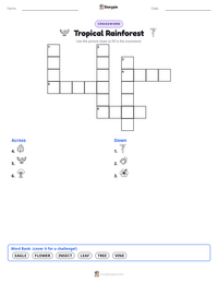 Tropical Rainforest printable worksheet preview