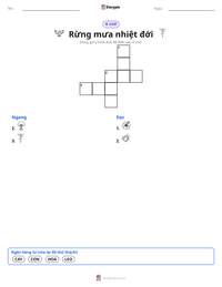 Xem trước tài liệu in sẵn Rừng mưa nhiệt đới