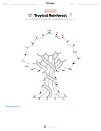 Tropical Rainforest printable worksheet preview