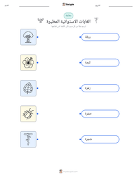 معاينة ورقة العمل القابلة للطباعة الغابات الاستوائية المطيرة