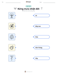 Xem trước tài liệu in sẵn Rừng mưa nhiệt đới