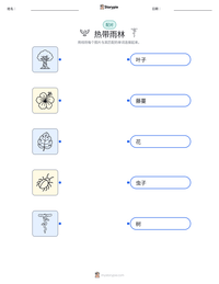 热带雨林 可打印工作表预览