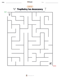 Podgląd drukowalnego arkusza ćwiczeń Tropikalny las deszczowy