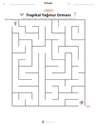 Tropikal Yağmur Ormanı yazdırılabilir çalışma sayfası önizlemesi