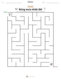 Xem trước tài liệu in sẵn Rừng mưa nhiệt đới