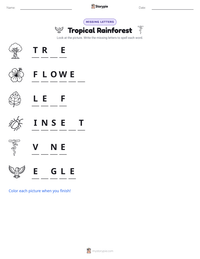 Tropical Rainforest printable worksheet preview