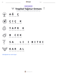 Tropikal Yağmur Ormanı yazdırılabilir çalışma sayfası önizlemesi