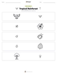 Tropical Rainforest printable worksheet preview