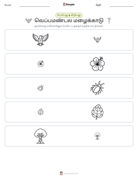வெப்பமண்டல மழைக்காடு அச்சிடக்கூடிய வேலைப்பதிவின் முன்னோட்டம்
