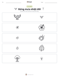 Xem trước tài liệu in sẵn Rừng mưa nhiệt đới