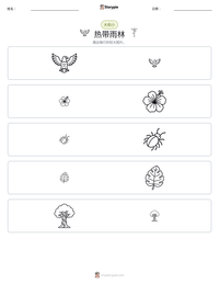 热带雨林 可打印工作表预览