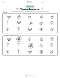 Tropical Rainforest printable worksheet preview