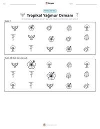 Tropikal Yağmur Ormanı yazdırılabilir çalışma sayfası önizlemesi