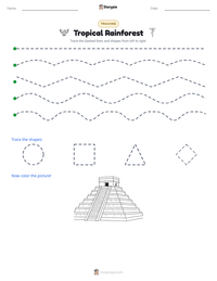 Tropical Rainforest printable worksheet preview