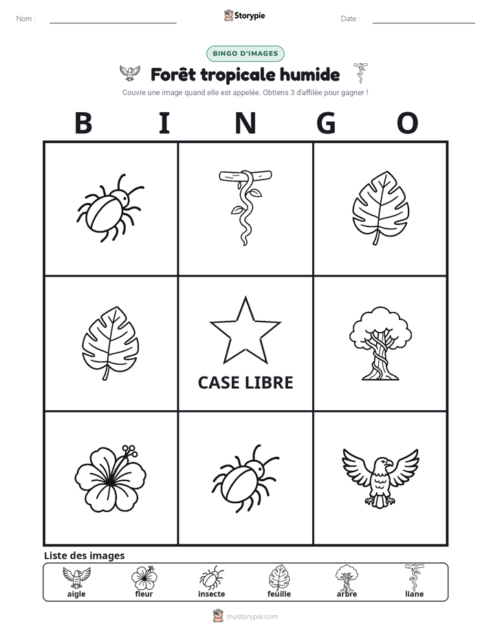 Bingo d'Images