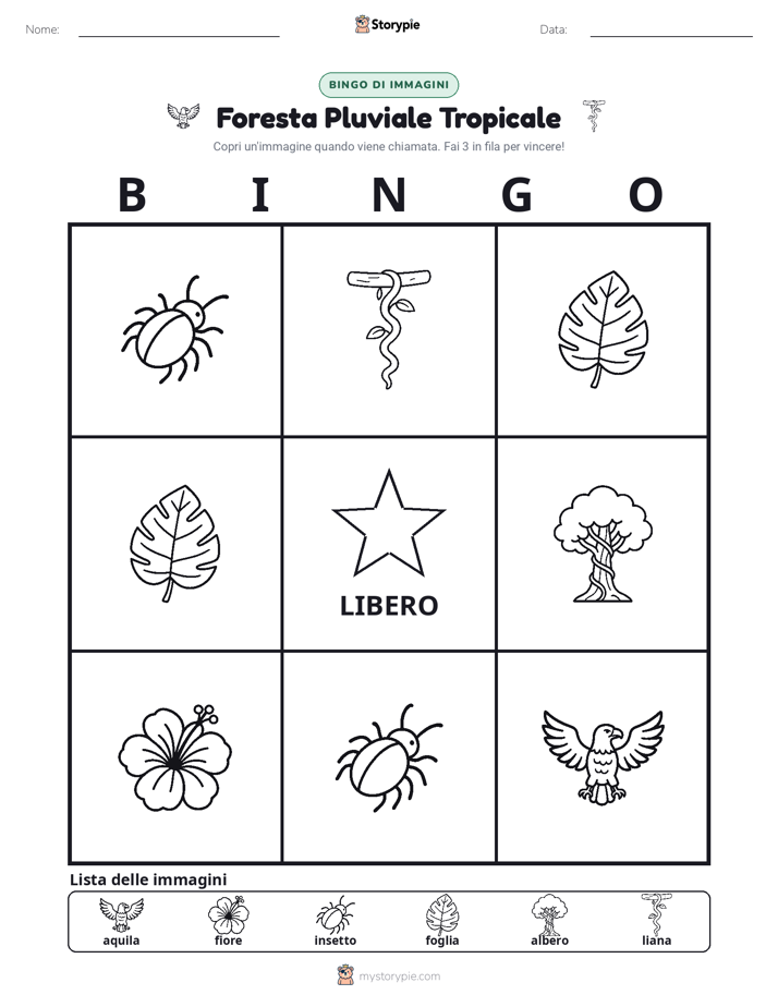 Bingo delle Immagini