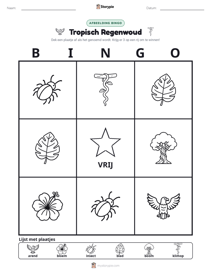 Afbeelding Bingo