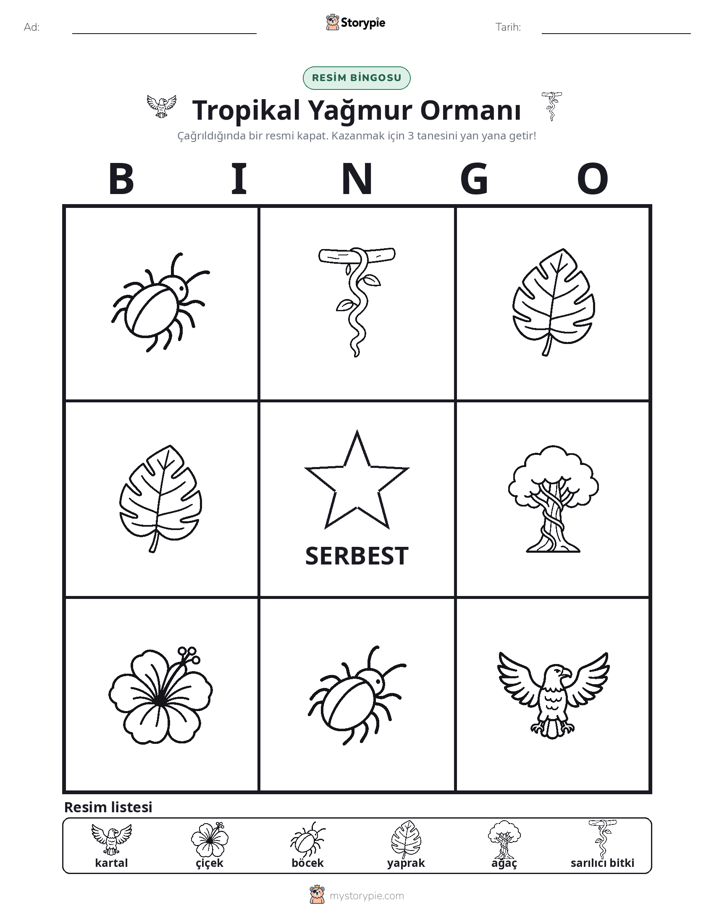 Resim Bingo
