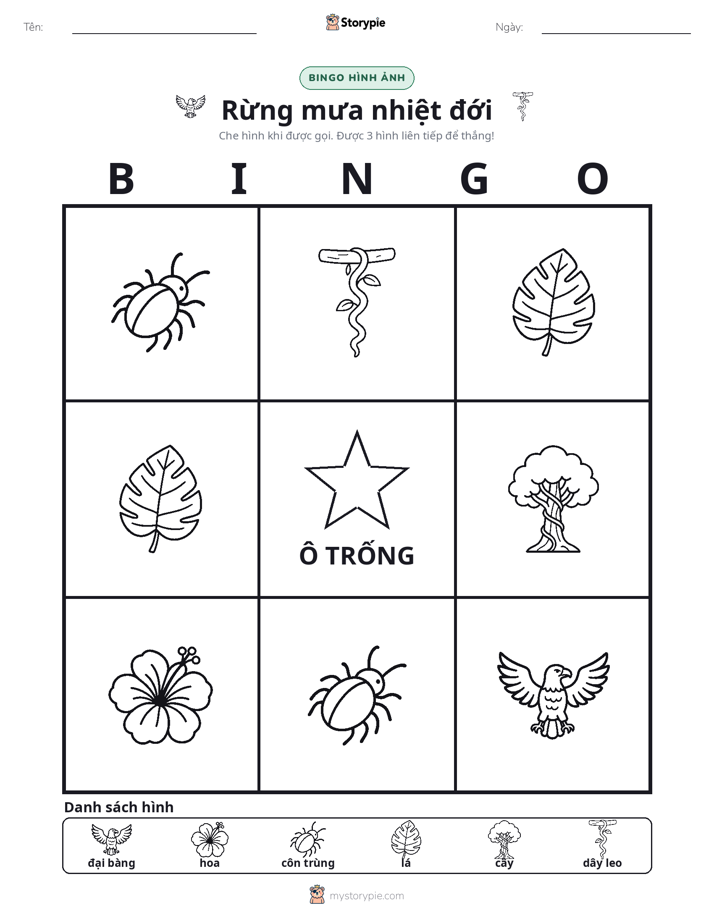Bingo Hình Ảnh